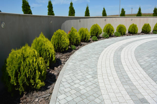 Reasons to Select Us for Your Driveway Paving Requirements in Pasadena, CA